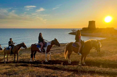 Maneggio ed escursioni a cavallo Vieste il Monticello