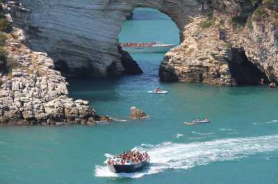 Escursioni alle Grotte marine Vieste Desiree